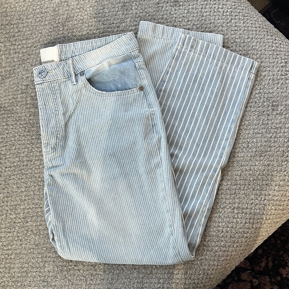 NWOT One Teaspoon Baggy Jean